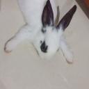 สมาชิกหมายเลข 3660956