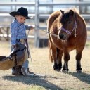 สมาชิกหมายเลข 4097853