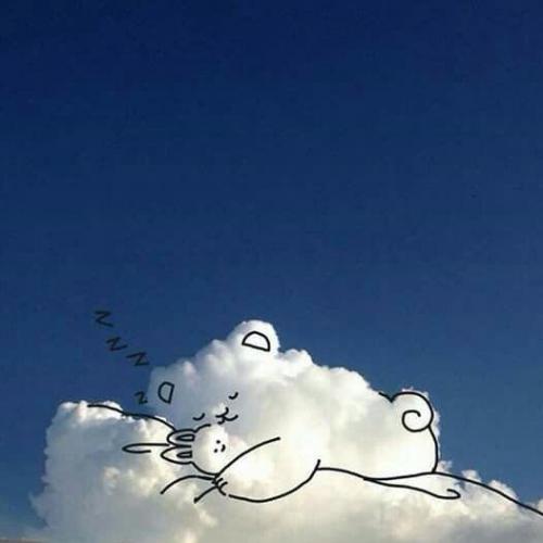 สมาชิกหมายเลข 4531954