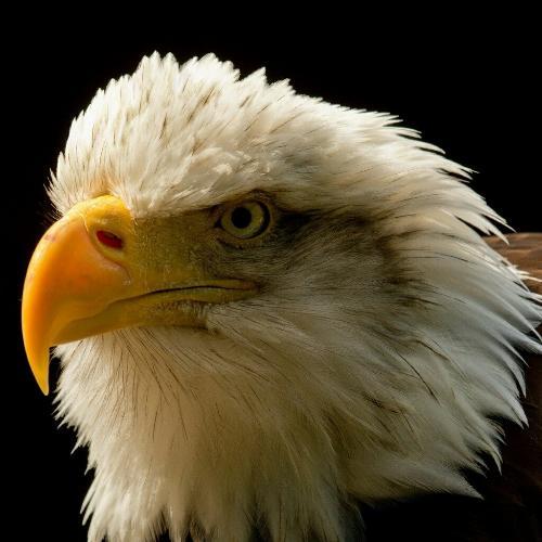 สมาชิกหมายเลข 4871145