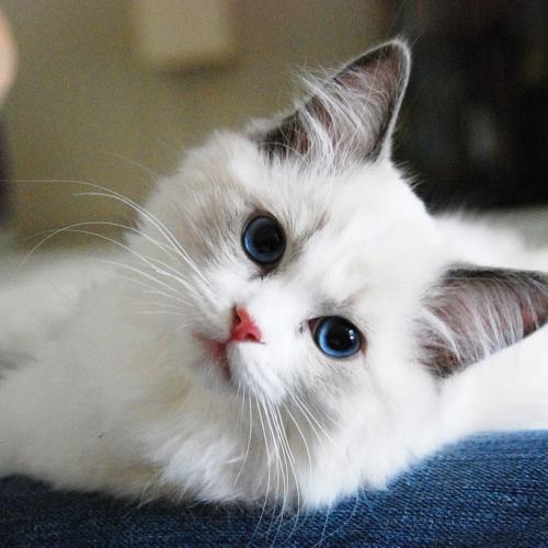 สมาชิกหมายเลข 3447386