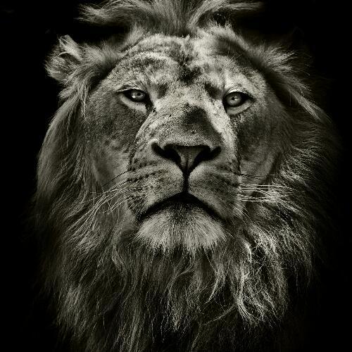 สมาชิกหมายเลข 5261034