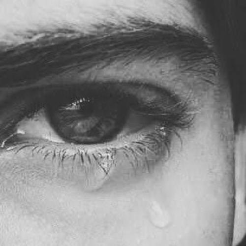 สมาชิกหมายเลข 5261979