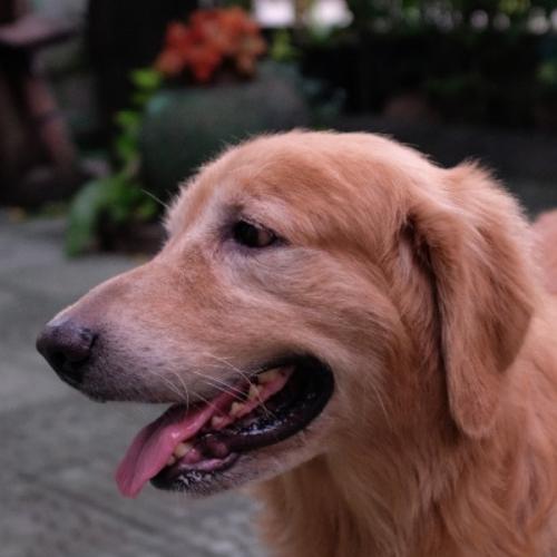 สมาชิกหมายเลข 1100679