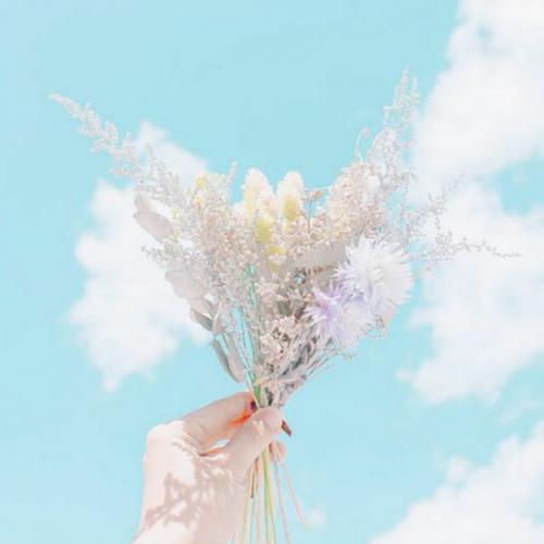 สมาชิกหมายเลข 3114754