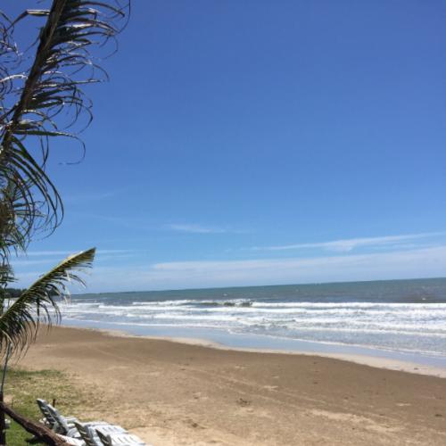 สมาชิกหมายเลข 5699665