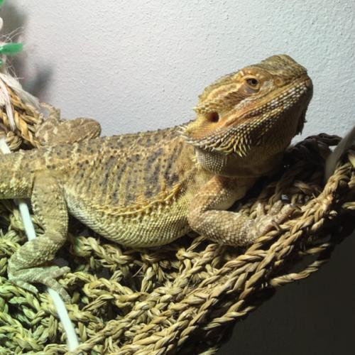 สมาชิกหมายเลข 1566056