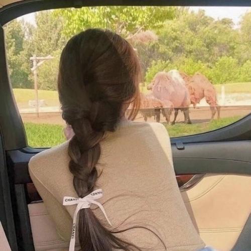 สมาชิกหมายเลข 6943229