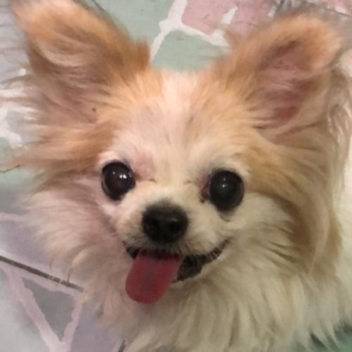 สมาชิกหมายเลข 6949876