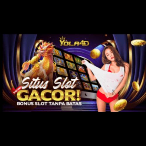 สมาชิกหมายเลข 7713460