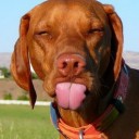 สมาชิกหมายเลข 3635950