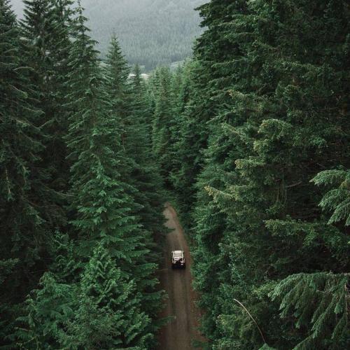 สมาชิกหมายเลข 1862387