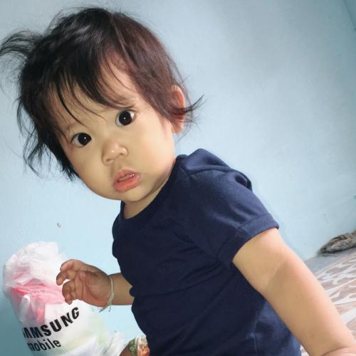 สมาชิกหมายเลข 4532305