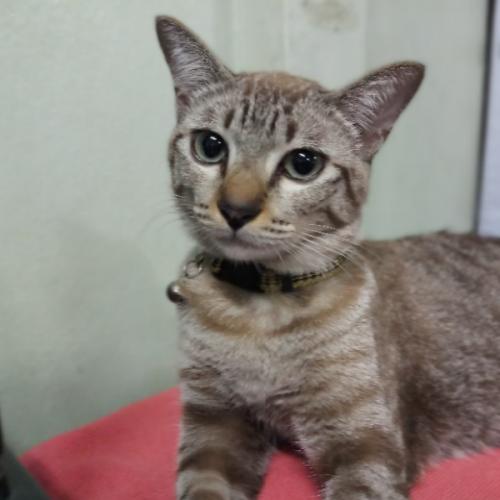 สมาชิกหมายเลข 4047953