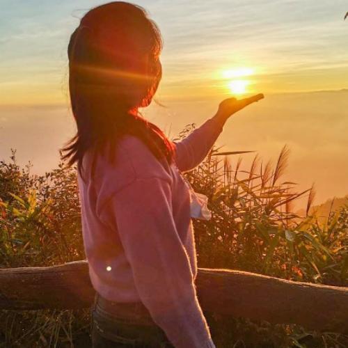 สมาชิกหมายเลข 3216555