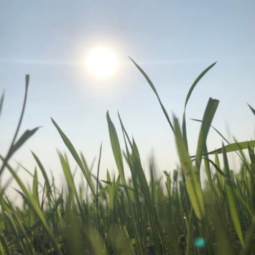 สมาชิกหมายเลข 6947576