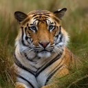 สมาชิกหมายเลข 3636447