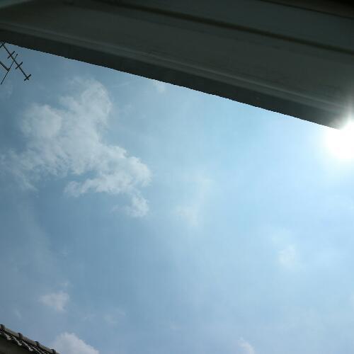 สมาชิกหมายเลข 4342564