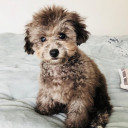 สมาชิกหมายเลข 3805599