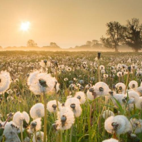 สมาชิกหมายเลข 5700325