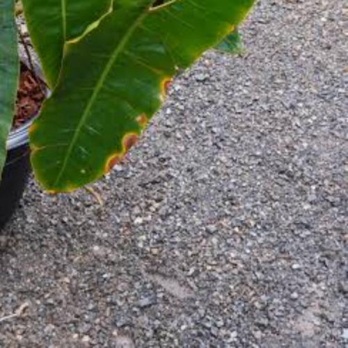 สมาชิกหมายเลข 3248461