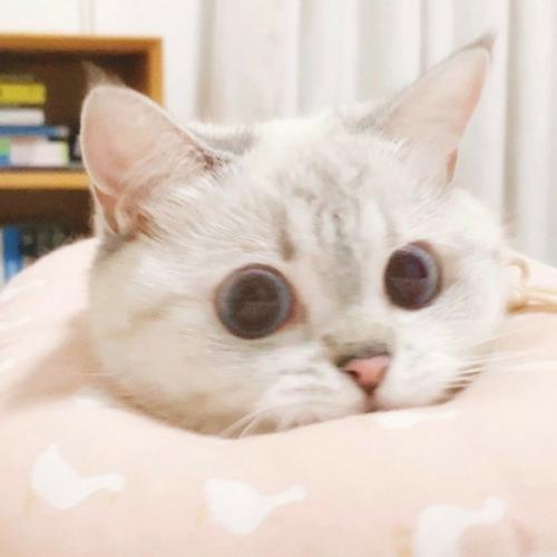 สมาชิกหมายเลข 3811292