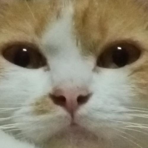 สมาชิกหมายเลข 5047273