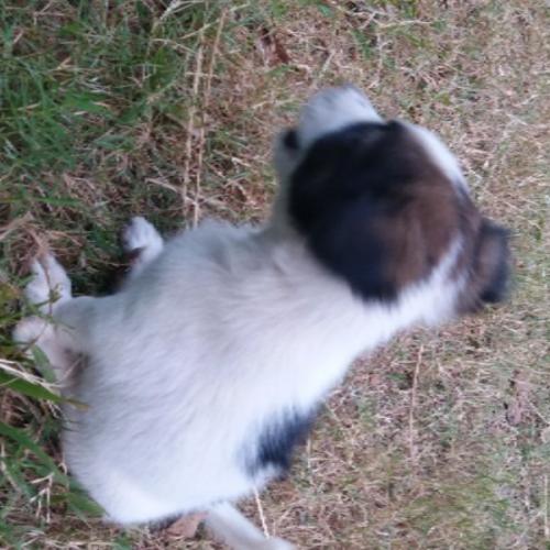 สมาชิกหมายเลข 3236771