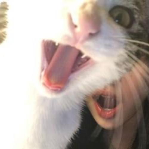 สมาชิกหมายเลข 6950280