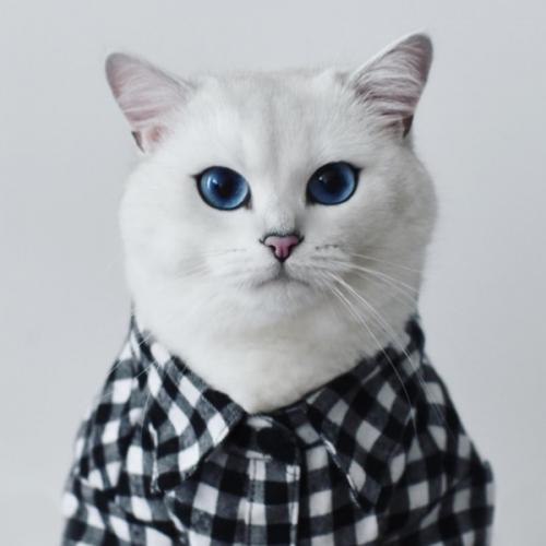 สมาชิกหมายเลข 6951972