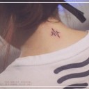 สมาชิกหมายเลข 3637112