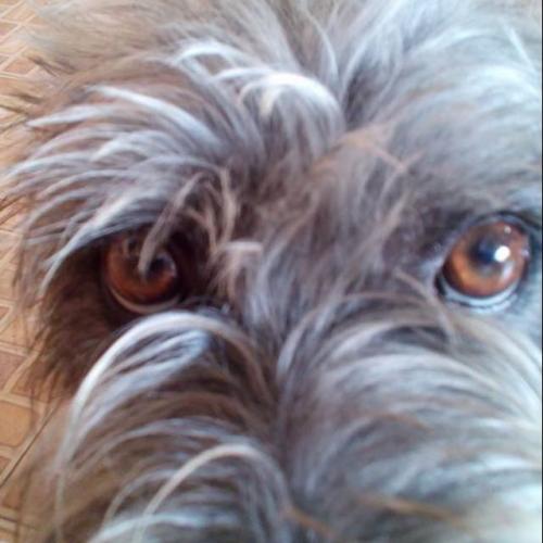 สมาชิกหมายเลข 3981434