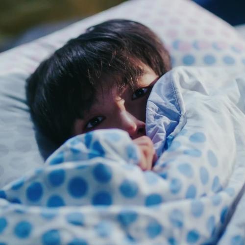 สมาชิกหมายเลข 4872030