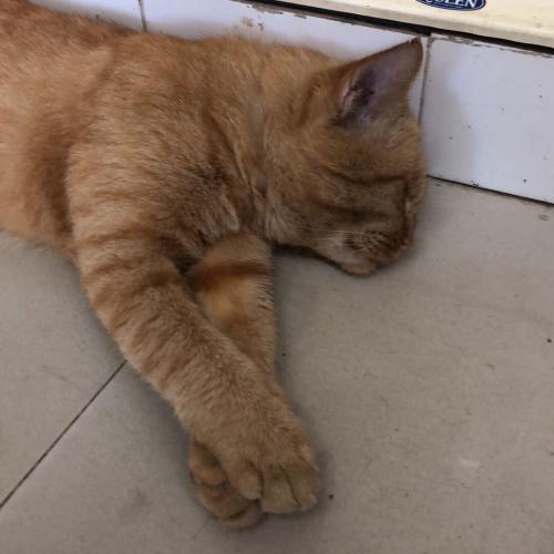 สมาชิกหมายเลข 5261020