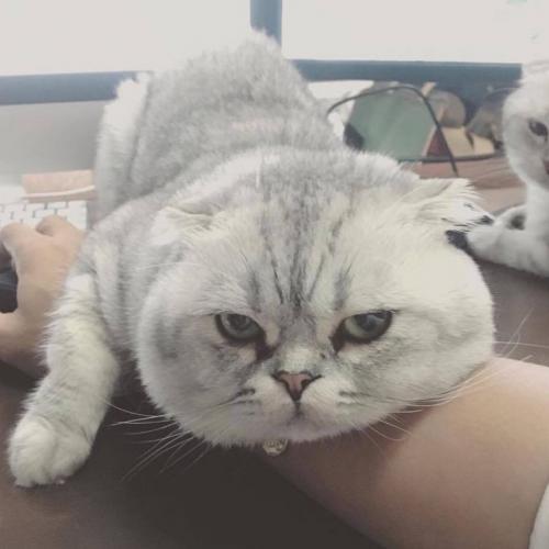 สมาชิกหมายเลข 5263122