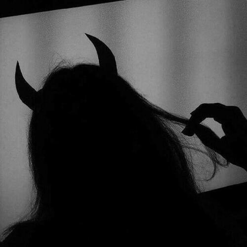 สมาชิกหมายเลข 4798747