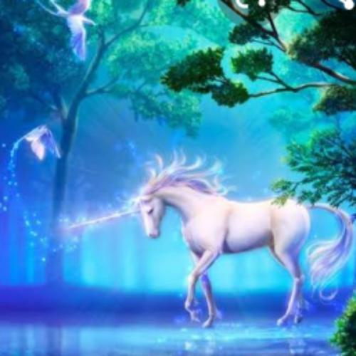 สมาชิกหมายเลข 5700951