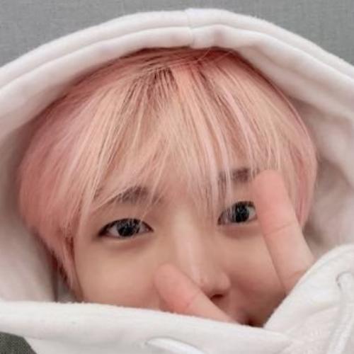 สมาชิกหมายเลข 5322339