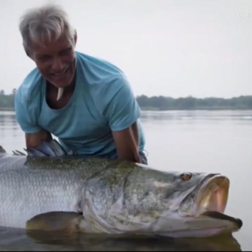 สมาชิกหมายเลข 6230184