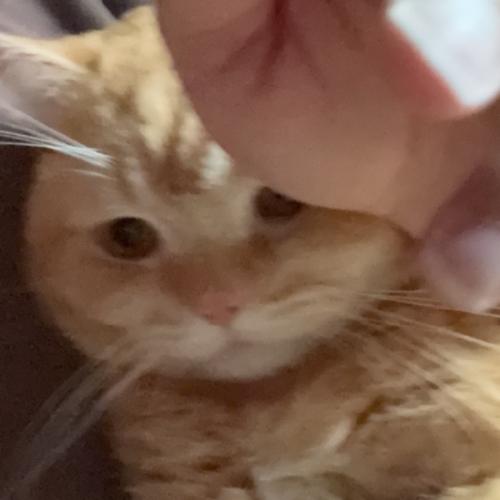 สมาชิกหมายเลข 5258559