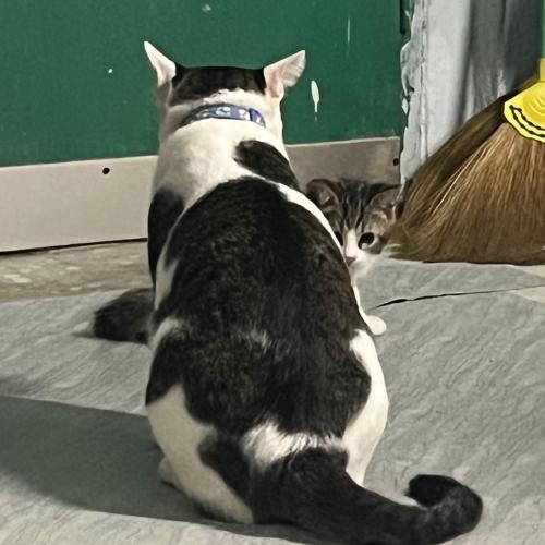 สมาชิกหมายเลข 8605862