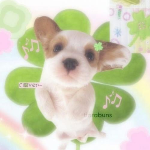 สมาชิกหมายเลข 8668364