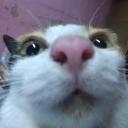 สมาชิกหมายเลข 4094375