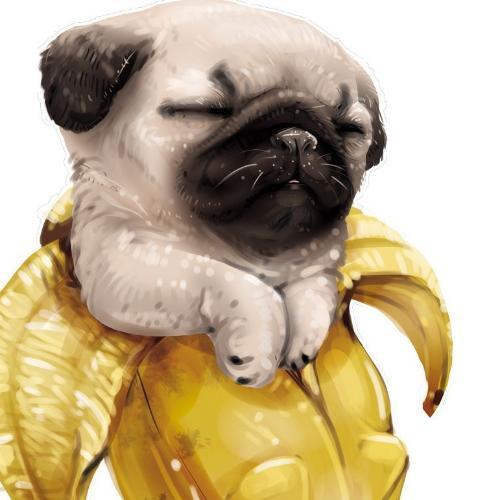 สมาชิกหมายเลข 2023848