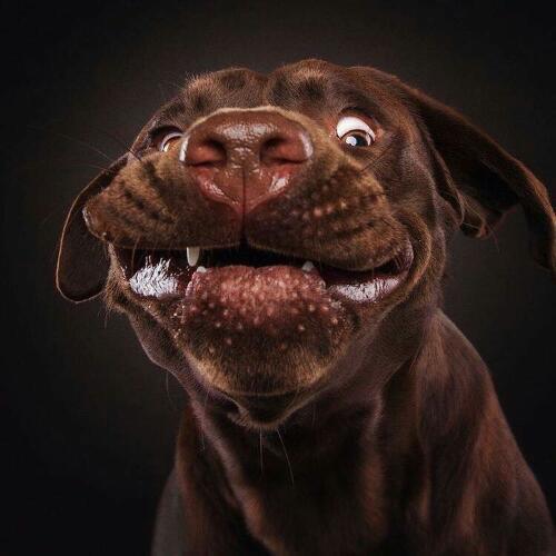 สมาชิกหมายเลข 3734792