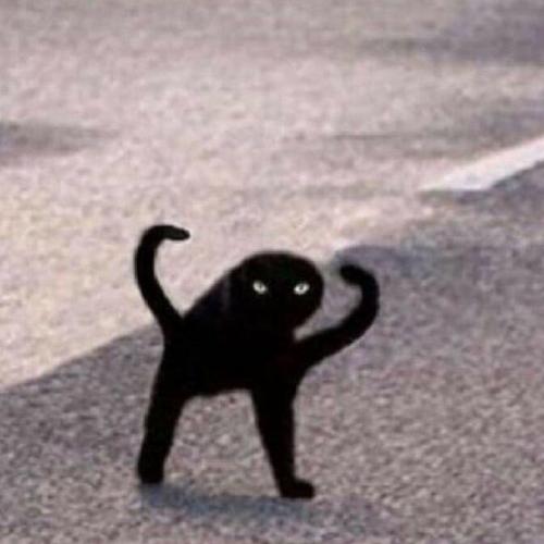 สมาชิกหมายเลข 2804058