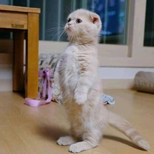 สมาชิกหมายเลข 5263044