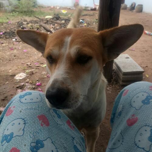 สมาชิกหมายเลข 5263562