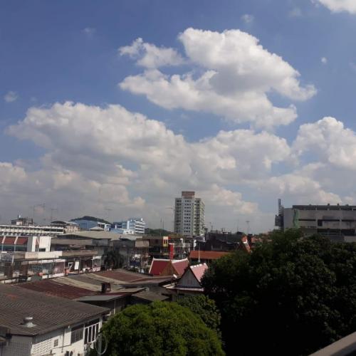 สมาชิกหมายเลข 5250731