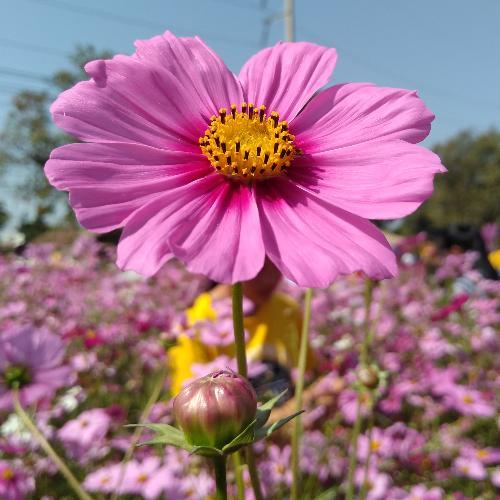 สมาชิกหมายเลข 5701663